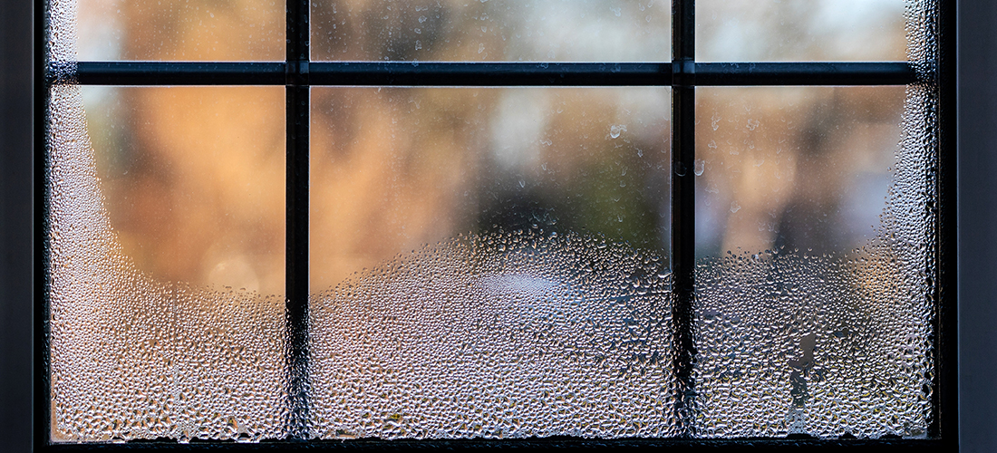 window-condensation-shutterstock_2101131793